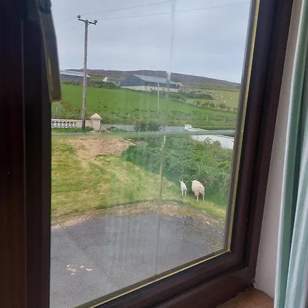Sleeps 16 House With Pet Friendly Garden Keenagh